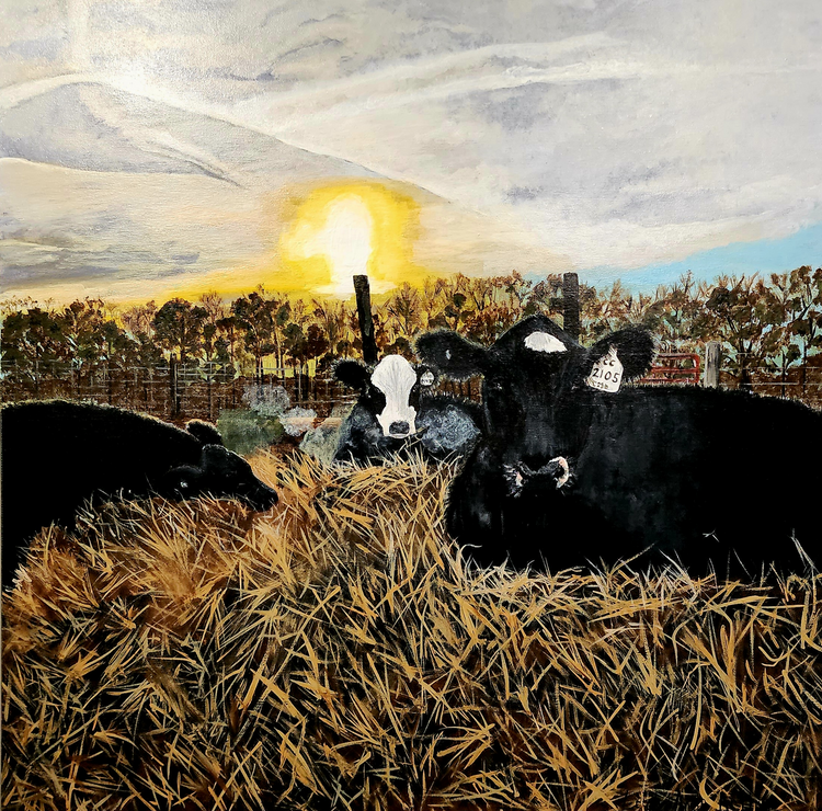 Cattle Wonderland