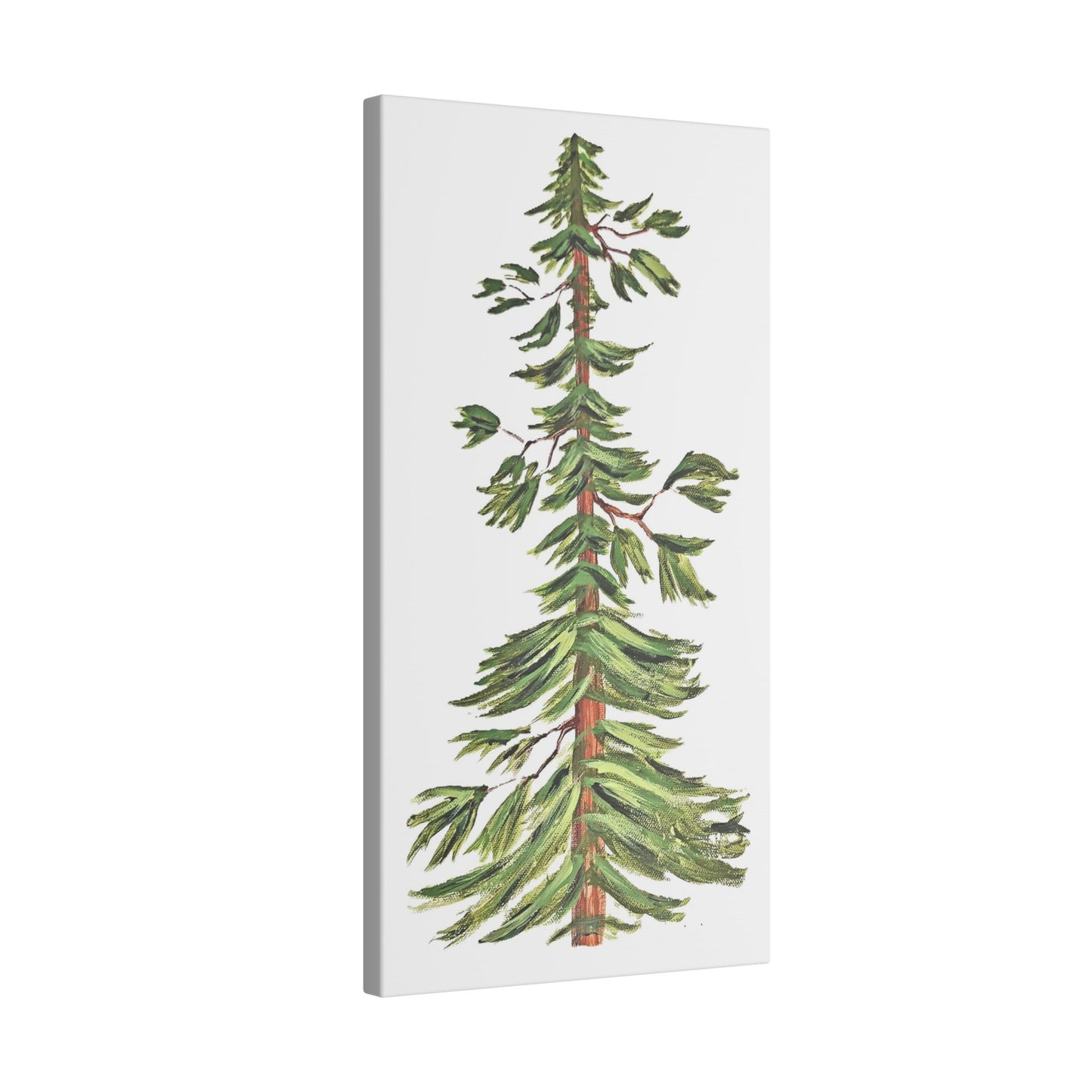 Farmhouse Pine Giclée Print Canvas