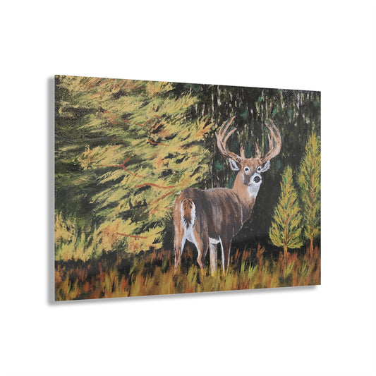 Acrylic Prints