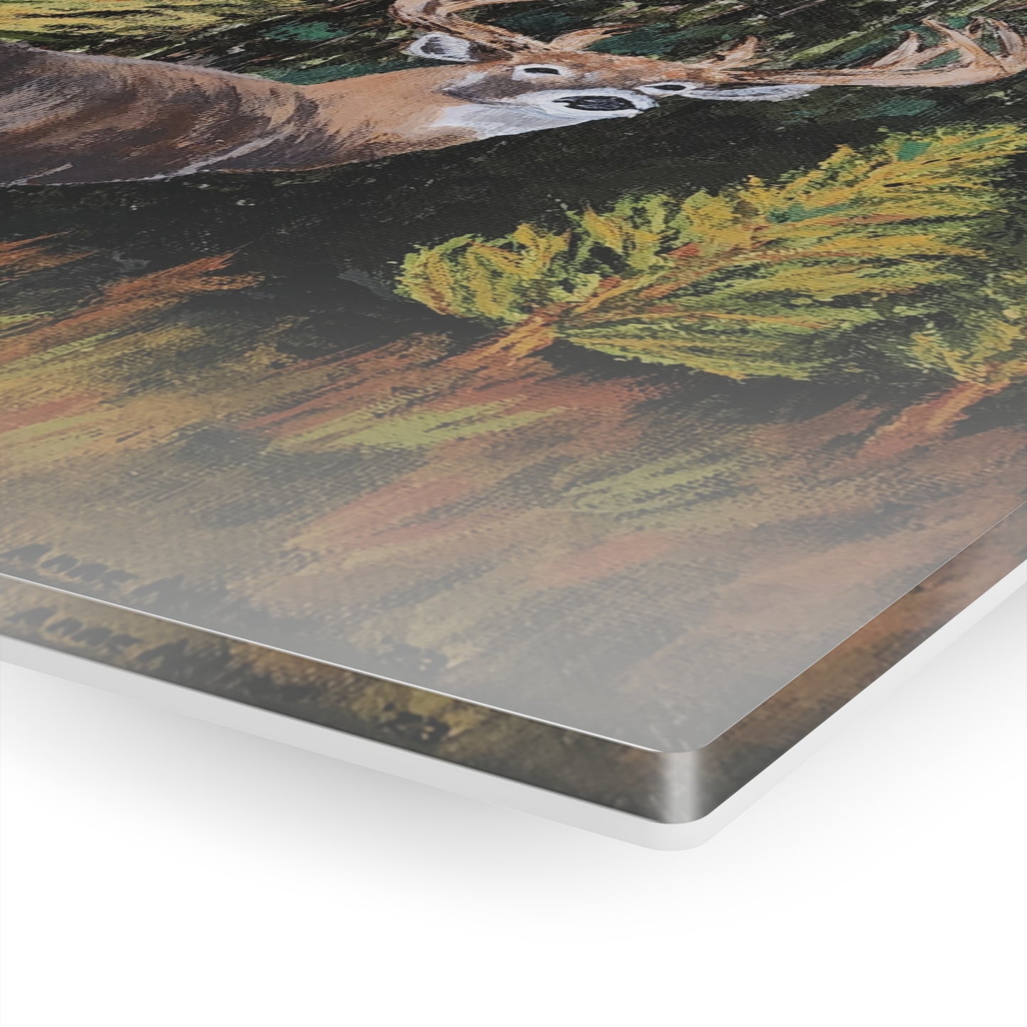 Acrylic Prints