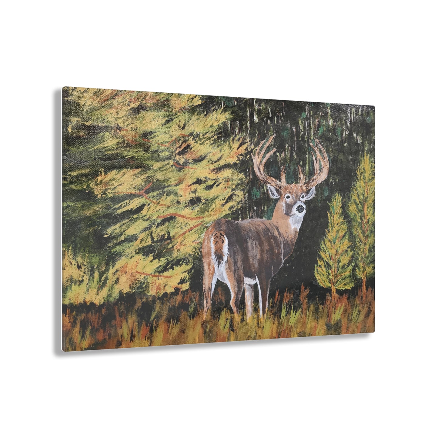 Acrylic Prints