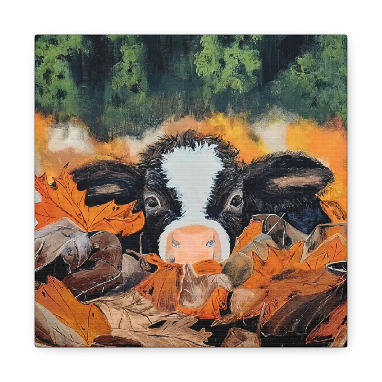 Canvas