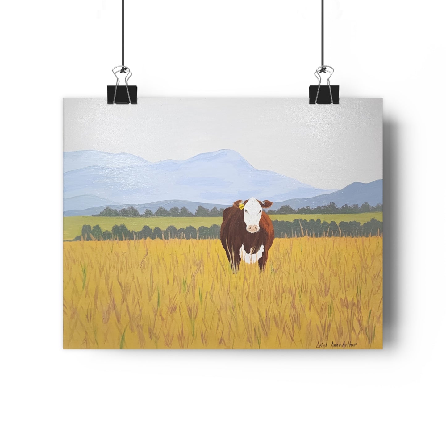 Hereford Giclée Art Print