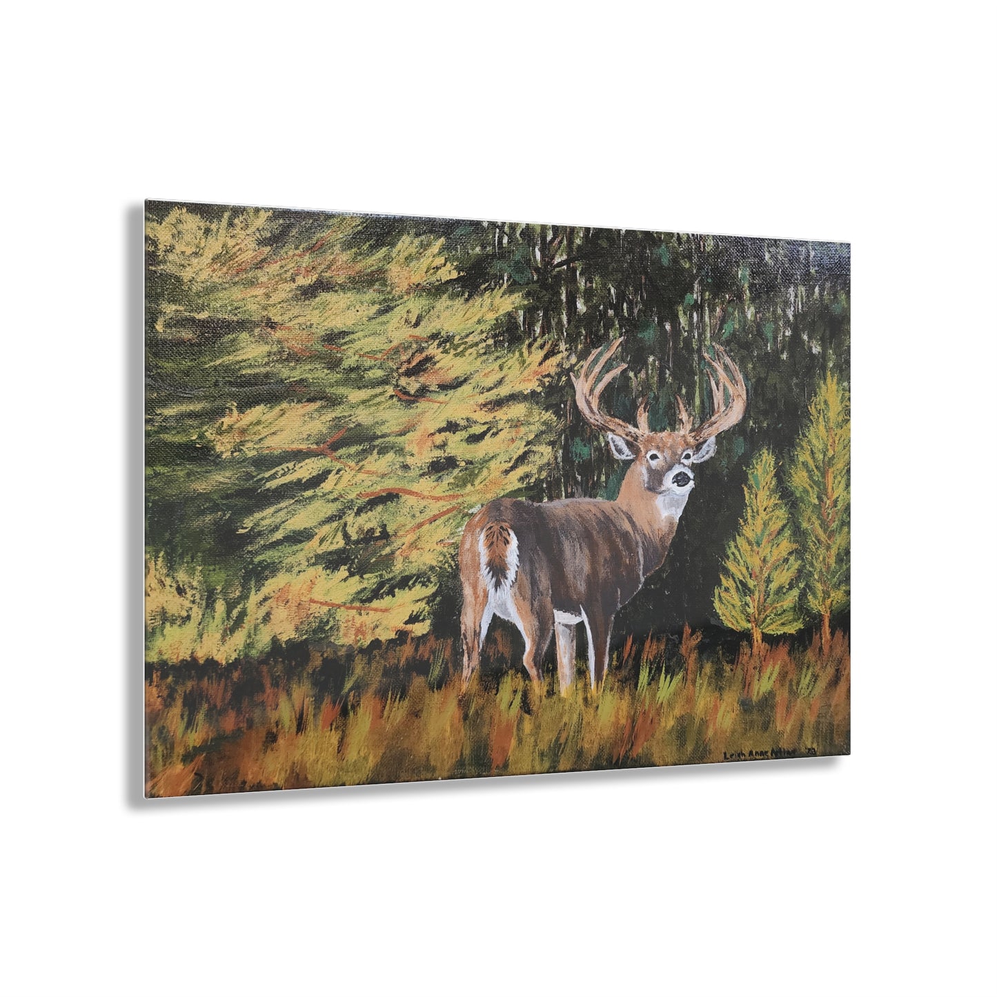 Acrylic Prints