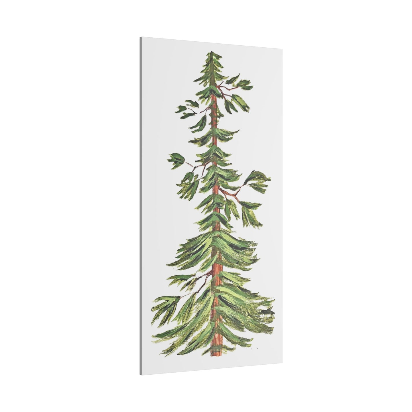 Farmhouse Pine Giclée Print Canvas