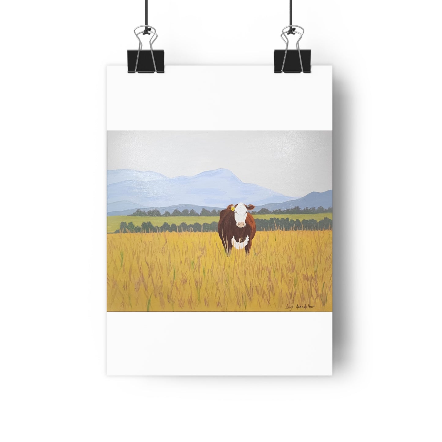 Hereford Giclée Art Print