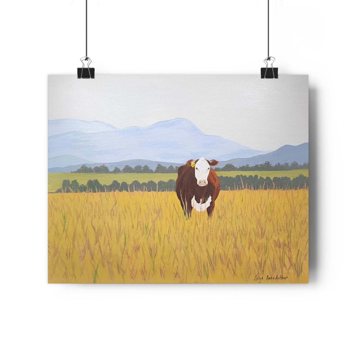 Hereford Giclée Art Print