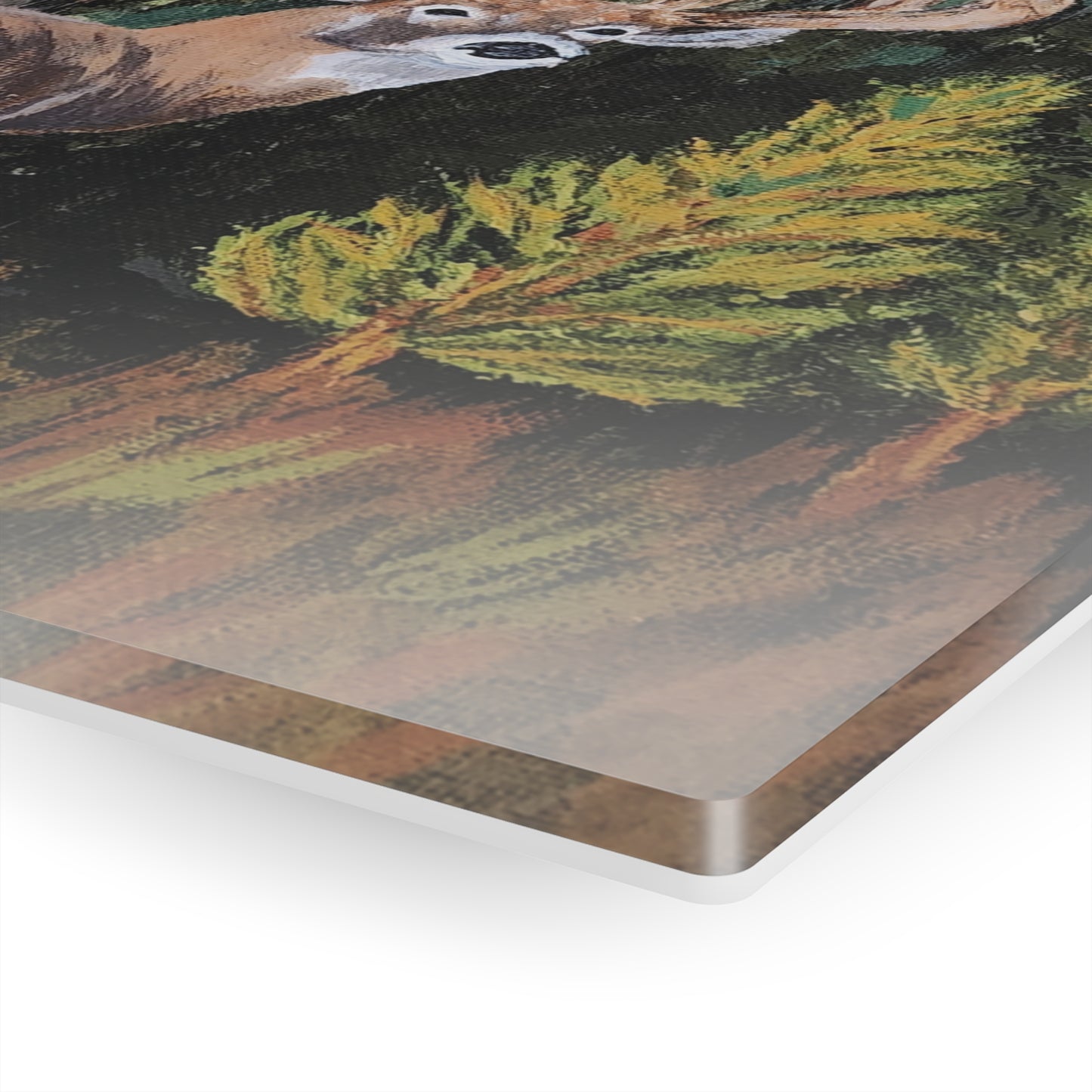Acrylic Prints