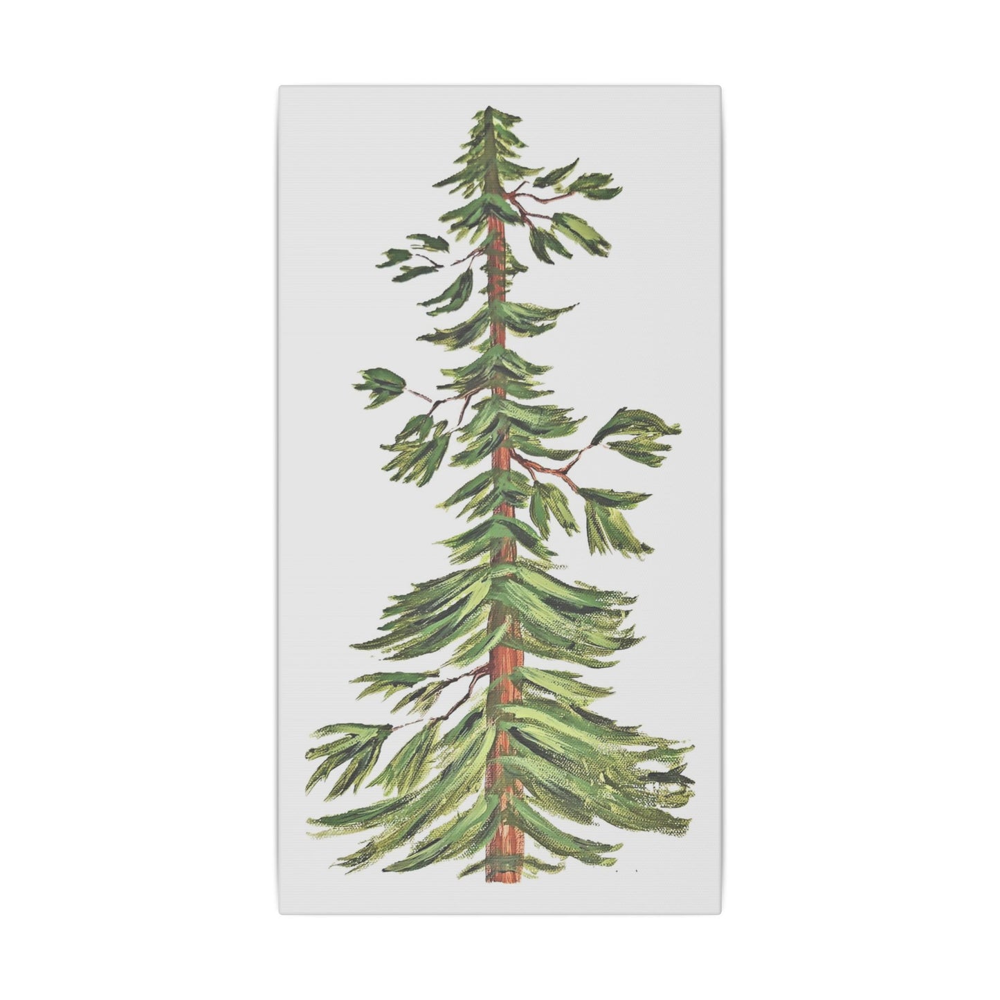 Farmhouse Pine Giclée Print Canvas